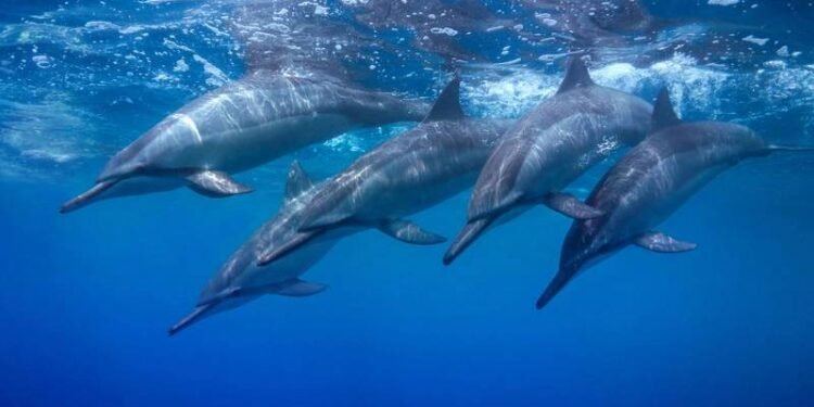 OPINION: Regulating Grey Water ... the Time is Now