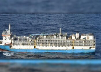 livestock-cargo-ship-news