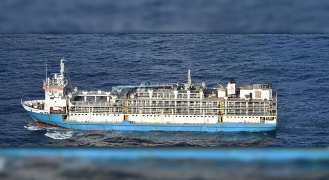 livestock-cargo-ship-news