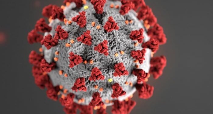 COVID-19: Paris MoU updates short-lived support on Port State Control image description