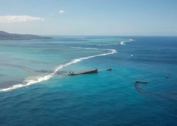 Challenging Assumptions Around the MV Wakashio Grounding