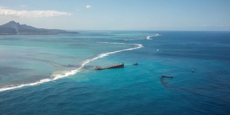 Challenging Assumptions Around the MV Wakashio Grounding