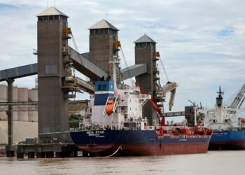 Loading Soybeans aboard ship in Rosario, Argentina