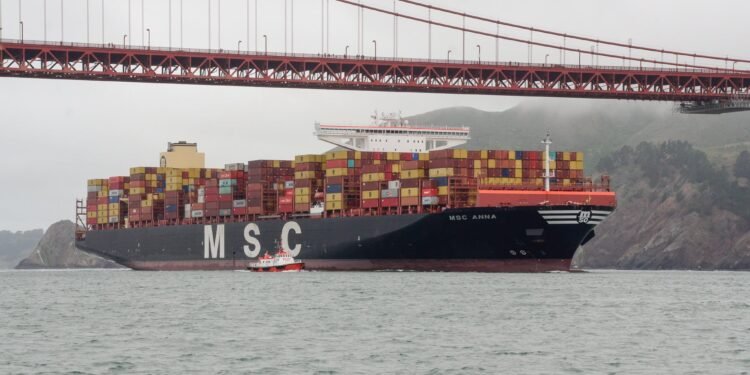 Piloting a Megaship: How Big Is Too Big?