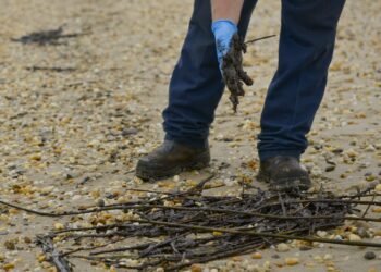 Delaware’s Mystery Oil Spill Remains a Mystery