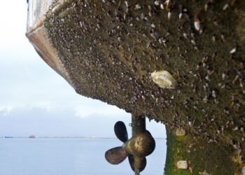 IMO Calls Boat And Yacht Owners Worldwide