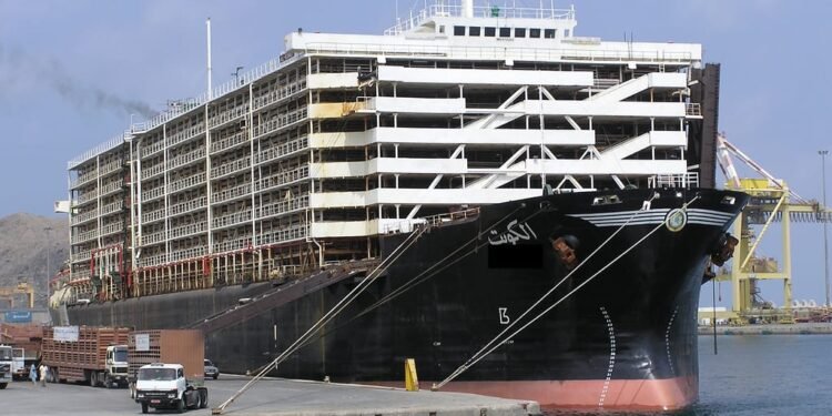 Shipping Livestock to China is Goal of Sudan’s $140 Million Port