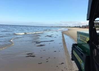 Mystery Oil Washes Ashore in Delaware