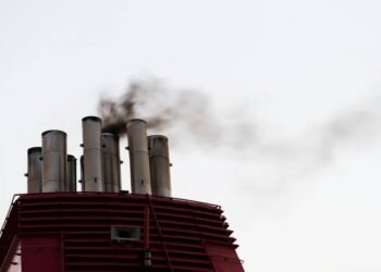 Cargill Steps Up Push to Cut Carbon Emissions from Shipping Fleet
