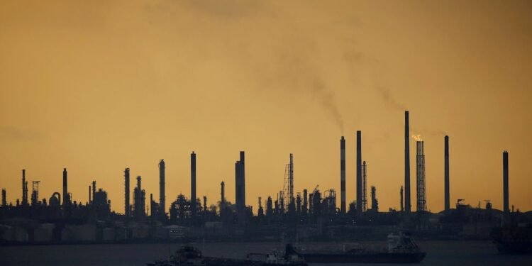 Energy Transitions and Zero-Carbon Targets -Opinion