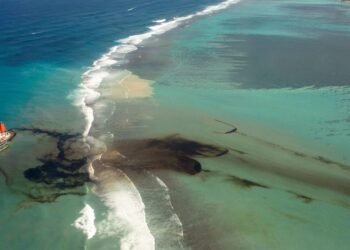 Wakashio Grounding: Photos Show Environmental Disaster Unfolding in Mauritius