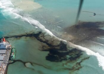 Wakashio Grounding: Who Pays for the Oil Spill and How Much?