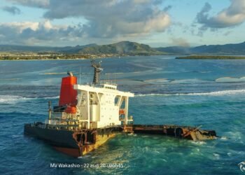 Scientists Search for Wakashio Link as Dead Dolphins Wash Up in Mauritius