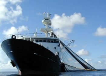 IMO Webinars Put Fishing Vessel Safety High On Agenda