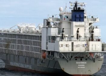 Gulf Livestock 1: Reward Of $70000 Offered By Families For Information On Missing Seafarers