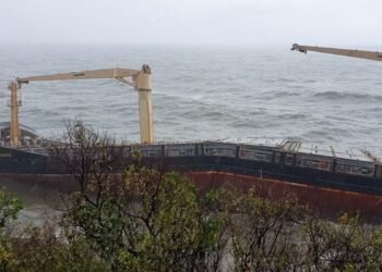 Cargo Ship Breaks Tow, Grounds in Vietnam