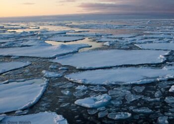 Arctic Sea Ice Crisis: World Leaders Must Cut Emissions To Curb Arctic Heating