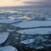 Arctic Sea Ice Crisis: World Leaders Must Cut Emissions To Curb Arctic Heating
