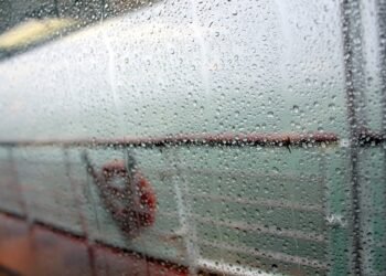 Asia’s Only Sailing Cruise Line Is Fully Booked And In Trouble