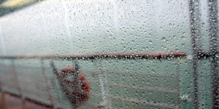 Asia’s Only Sailing Cruise Line Is Fully Booked And In Trouble