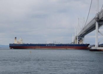 US Records Show Iran Oil Cargo Landed One Month After Ship Seizure