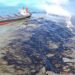 Wakashio Breached: Oil Leaks from Grounded Bulk Carrier in Mauritius, Police Investigation Launched