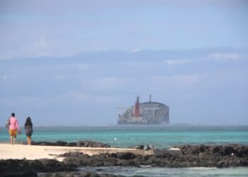 Panama Ship Registry Addresses Wakashio Grounding in Mauritius