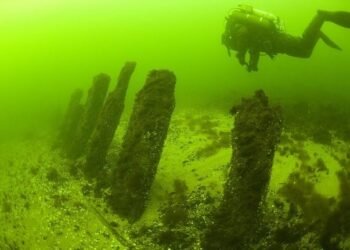 Top 11 Books On Diving