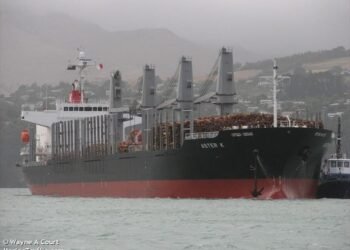 New Zealand Fines Stevedoring Company $150,000 for Dropping Excavator from Ship’s Crane