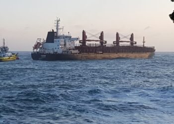 Log Carrier Loses Power Leaving New Zealand’s Port of Tauranga