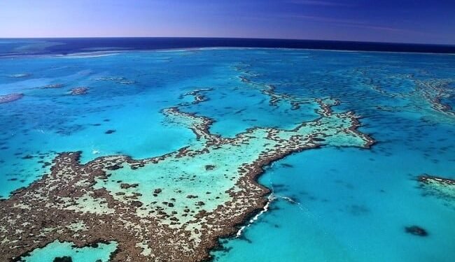 Claims Of Dramatic Loss Of Great Barrier Reef Corals Are False:Prof Peter Ridd