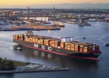 MSC Awarded For Slowing Speed To Protect Whales