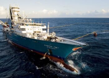 Stranded at Sea in The Time of Corona