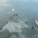 Golden Ray Wreck Continues to Spill Fuel Oil golden ray