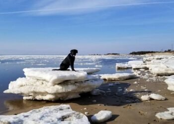 Back to the Drawing Board: Analyzing Social Impact of Sustainable Energy