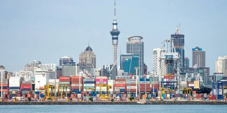 Maritime NZ Files Charges for Auckland Port Worker Death