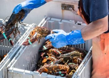 President Trump Threatens EU Auto Tariffs Over Lobsters