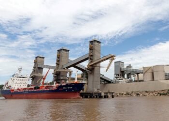 Riverbank Collapse Disrupts Shipping on Argentina’s Parana River