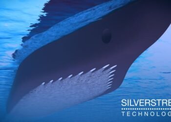 Wärtsilä And Silverstream To Collaborate On Accelerating Deployment Of Air Lubrication Technology