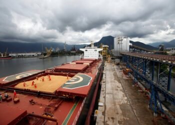 Workers Start to Fall Ill at Brazil’s Busiest Port