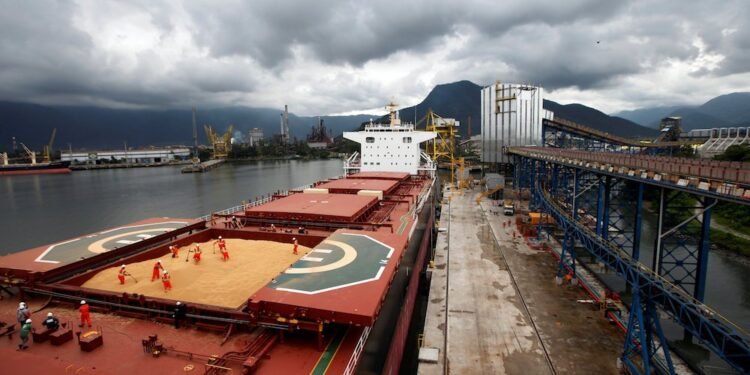 Workers Start to Fall Ill at Brazil’s Busiest Port
