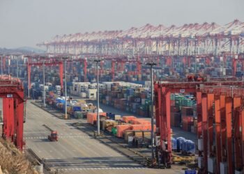 shanghai free trade zone