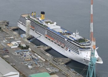 Nearly 150 Total Coronavirus Cases Confirmed on Cruise Ship in Japan
