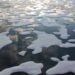Arctic Ocean Could Be Ice-Free For Part Of The Year As Soon As 2044 Arctic Ocean Could Be Ice-Free For Part Of The Year As Soon As 2044