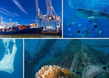 IMO Launches Global Project To Tackle Plastic Litter From Ships And Fisheries