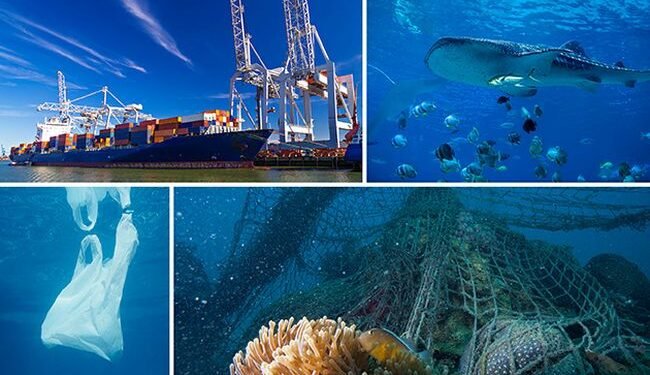 IMO Launches Global Project To Tackle Plastic Litter From Ships And Fisheries