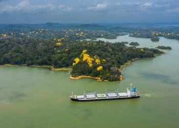 Panama Canal Emerges from Dry Season Promising Steady Draft Reliability 