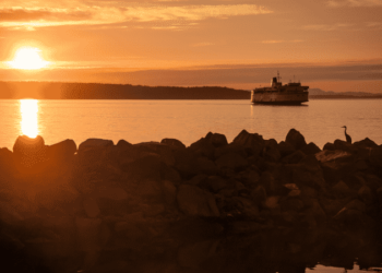 Stena Bulk Signs Global Maritime Forum’s Call To Action For Shipping Decarbonization Ahead Of COP26