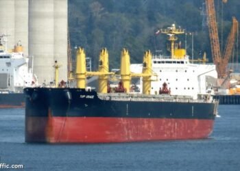 Bulk Carrier Crew Charged with Attempted Murder After Allegedly Throwing Stowaways Overboard Off South Africa