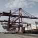 APM Terminals Mumbai Surpasses 2 Million TEUs For Second Consecutive Year